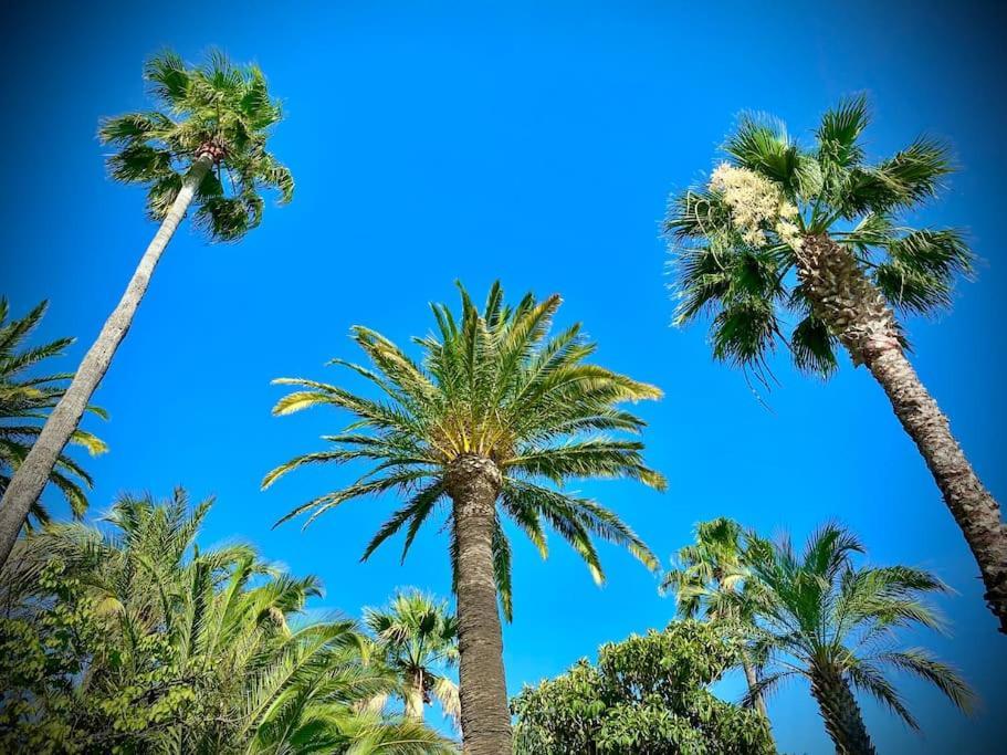 Port-Frejus, Le Paladien, Appartement 2 Pieces Climatise, Terrasse & Parking Luaran gambar